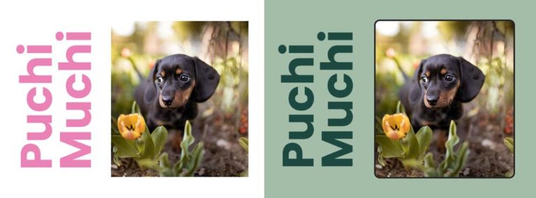 Colores perfil servicios especiales